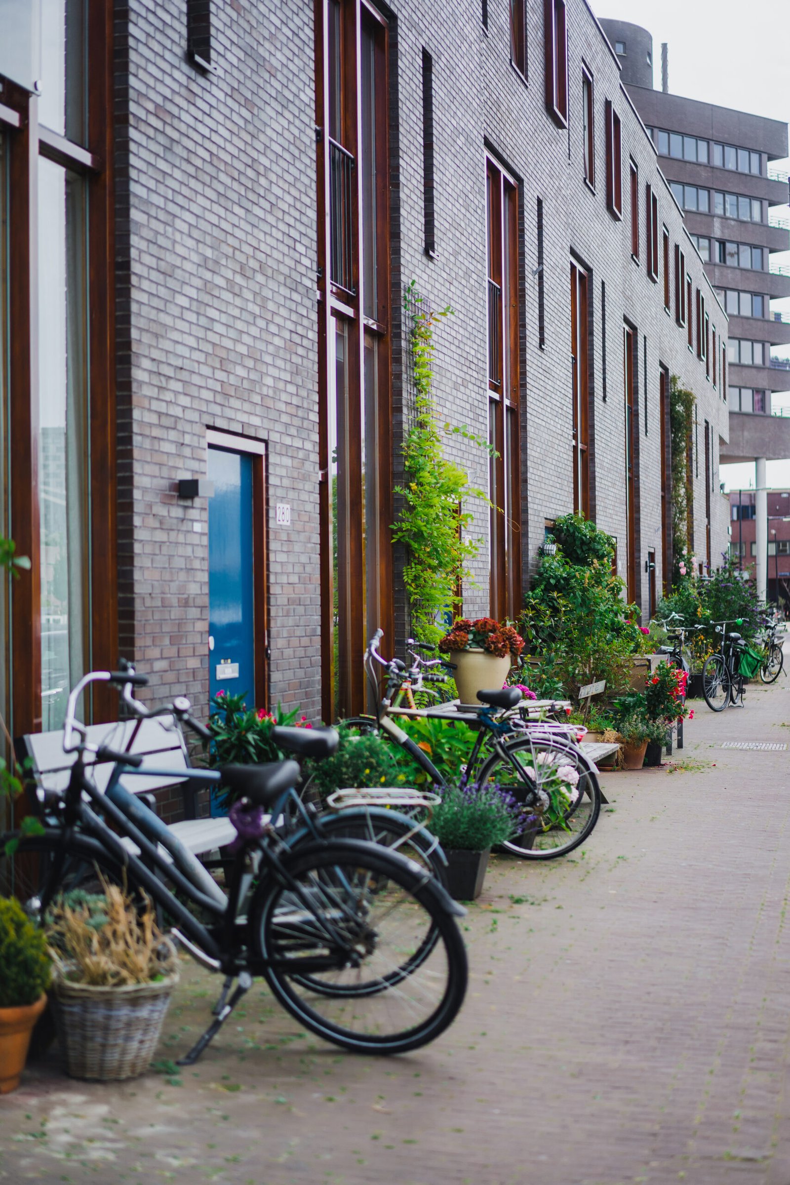 cozy courtyards of amsterdam, benches, bicycles, flowers in tubs
